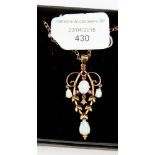 A 9ct gold and opal pendant on chain in the Art Nouveau style set with rubies,