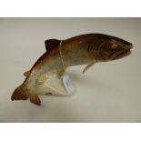 An early Beswick "Speckled Trout" 2087.  Impressed Beswick England and with paper label. A/F