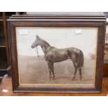 Three tinted prints of horses, two by Frank Griggs, etc (3)