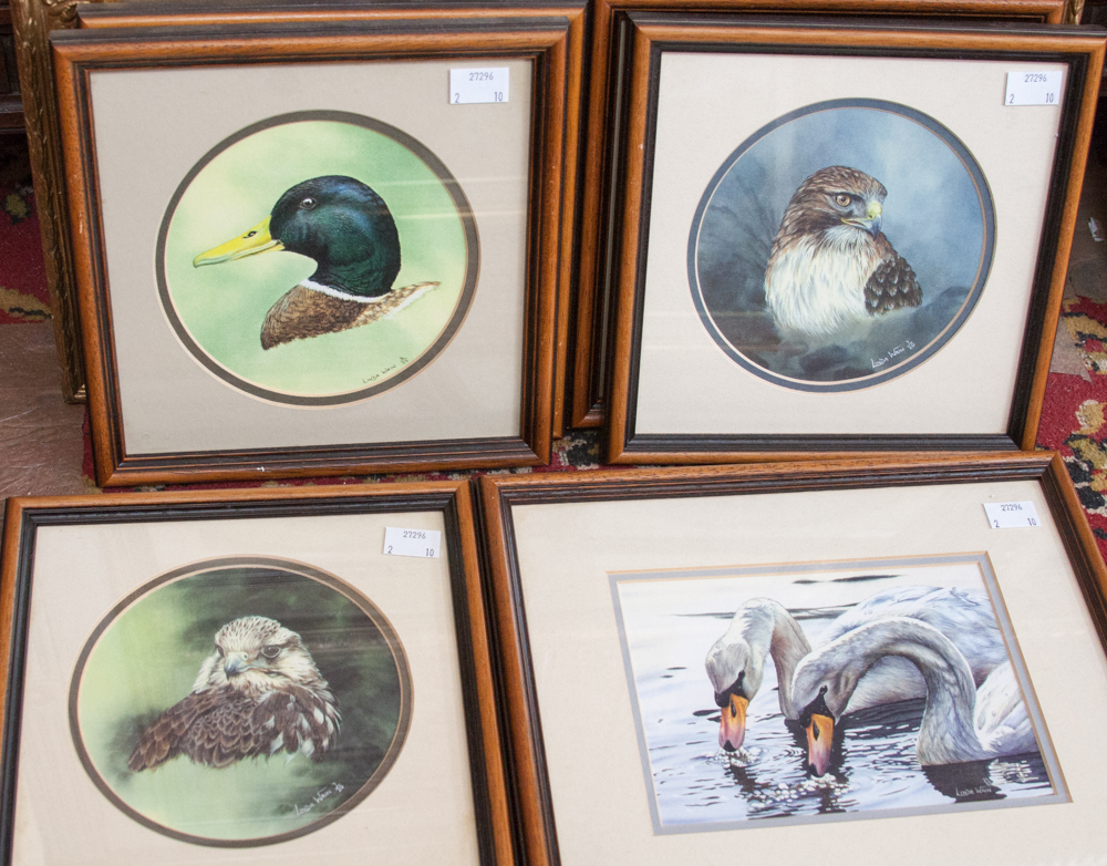 Seven Linda Wain prints of Birds, etc,