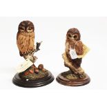 A Country Artists 'Little Owl',