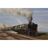 Richardson, Warwick (XX) railway steam locomotive oil painting,