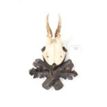 A black forest carved plaque with antlers