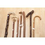 Seven assorted walking sticks,