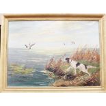 An oil on canvas, late 19th/early 20th Century of a setter with mallards, signed F.G.