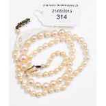 One strand of Ciro cultured pearls