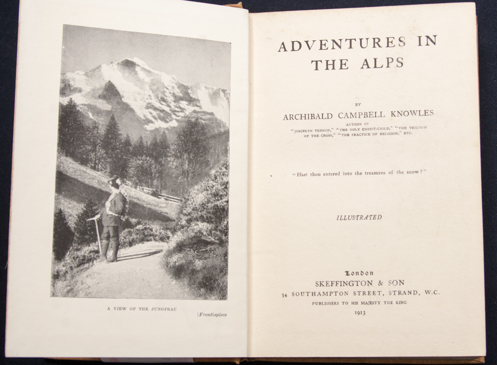 Archibald Campbell Knowles, Adventures in the Alps, decorated boards, published Skeffington and Son,