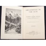 Archibald Campbell Knowles, Adventures in the Alps, decorated boards, published Skeffington and Son,