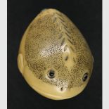 Japan - - Netsuke in Form eines Kugelfisches. Bein. Um 1900. Signiert. Ca. 38 x 26 mm. Kl. Kratzspur