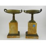 A pair of 19th century bronze and Sienna