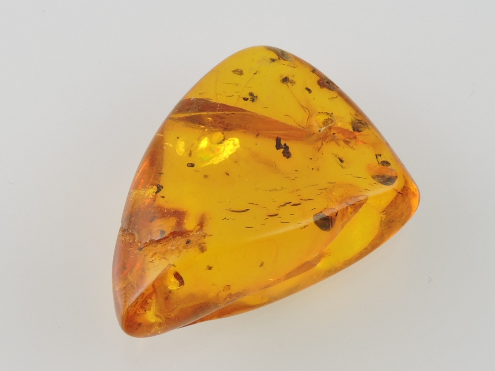 An amber deposit, with an insect inclusi