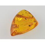 An amber deposit, with an insect inclusi
