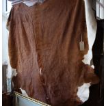 A large brown and white cow hide rug, approx, 244cm x 235cm.