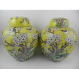 A pair of Chinese Canton famille jeune ginger jars and covers, decorated with songbirds amongst