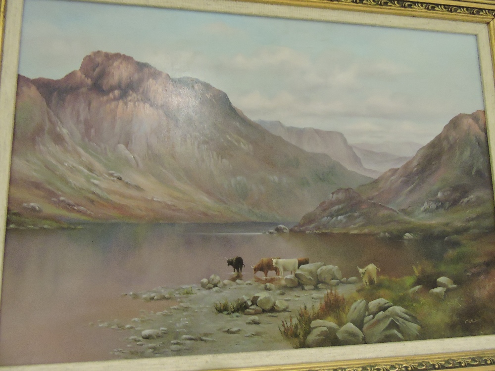 C Whitfield (Modern, British) Loch Scene with cattle watering, oil on board, signed lower right,