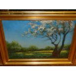 Frank Mortel Mans (1896-1968) 'Spring Blossom', oil on board, signed in pen to verso.