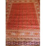 A red ground Afghan Bokhara carpet, having rows of elephant pad medallions to centre,