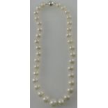 A string of graduated freshwater pearls, with white metal magnetic clasp stamped 925.