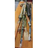 Nine assorted coarse and sea fishing rods including Daiwa and Tokoz