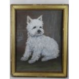 20th century British school, a Westie terrier, pastel drawing.