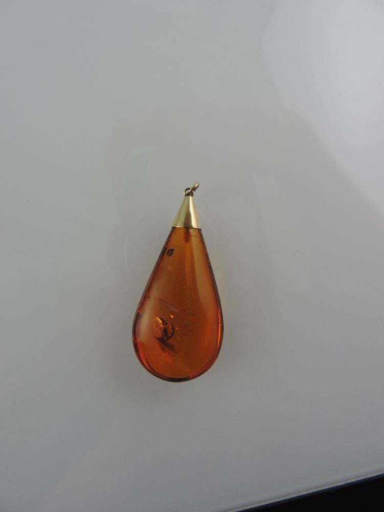 An amber pendant with an insect inclusion and yellow metal mount, 10.7g.