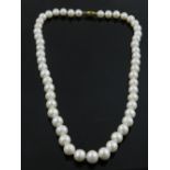 A South Sea white pearl necklace, with 14 carat yellow gold clasp.