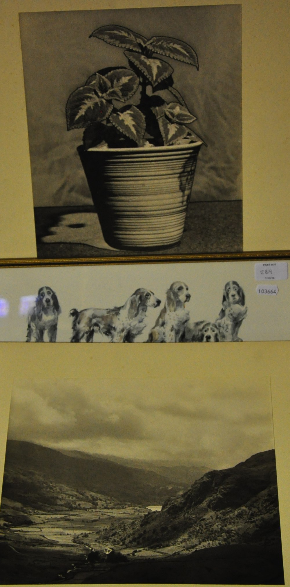 Four Market Harborough Photographic Society 1952 exhibition photographs, - Image 2 of 2