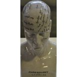 A Victorian style glazed pottery phrenology head,