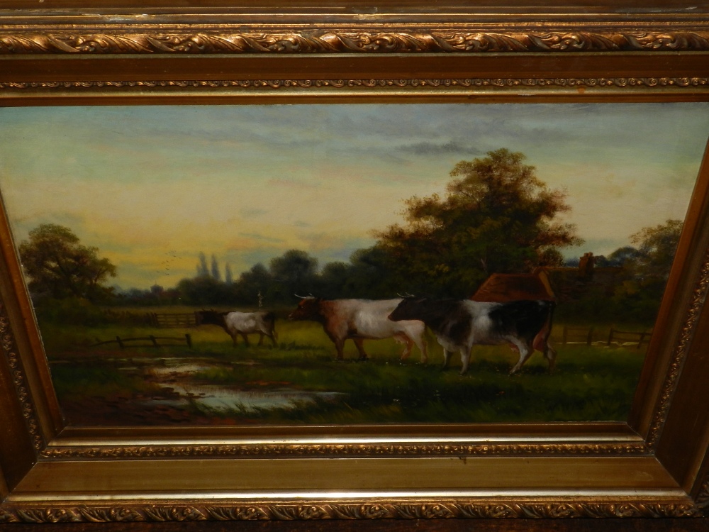 20th century British, Cattle in a Pasture, oil on canvas, signed lower right B Willis, within a