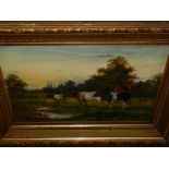 20th century British, Cattle in a Pasture, oil on canvas, signed lower right B Willis, within a