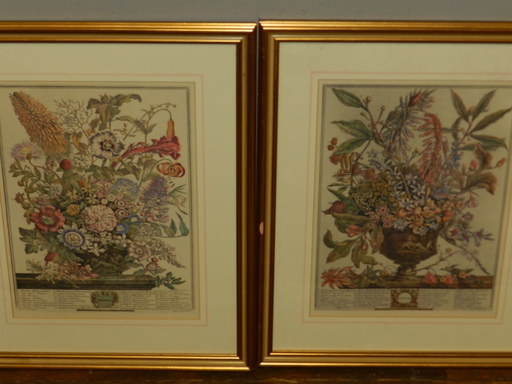 A pair of botanical prints, 40cm x 30cm