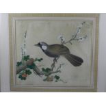 20th century Chinese school, a bird on a blossoming branch, watercolour, unsigned. H.30cm W.35cm