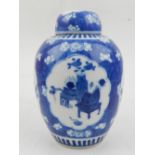 A Chinese blue and white porcelain ginger jar and cover, decorated with panels depicting flowers and