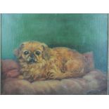 W. De Haas, a study of a dog, oil on canvas, signed lower right. H.40cm W.49cm