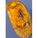 An Amber coloured sap piece enveloping a scorpion