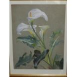 William Mussill (Austrian, 1829-1906), Lilly, watercolour and gouache, inscribed 'Trentham' and