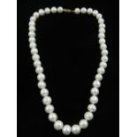 A South Sea white pearl necklace, the pearls of approx. 9-10mm, having a 14 carat yellow gold clasp.