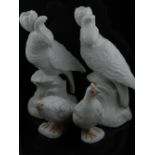 A pair of 20th century blanc de chine candlesticks modelled in the form of parrots, H.