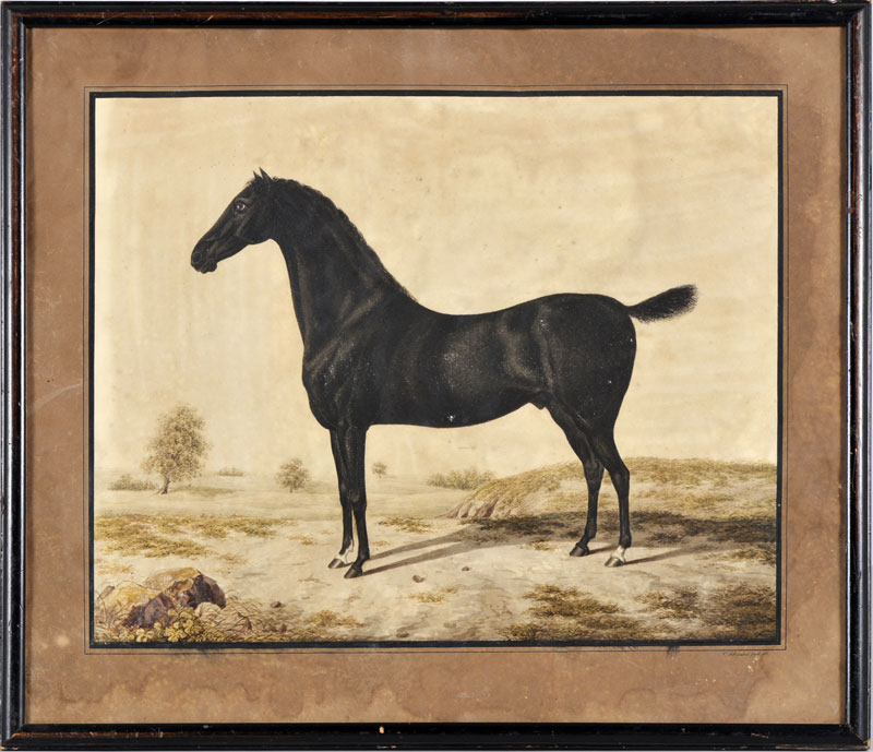 ?C. Schnabel (XIXe s.) Etude de cheval aquarelle sur papier signée et datée 1830 27x36 5 cm