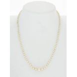 Collier 1 rang de perles de culture blanches en chute fermoir en or 750 long. 49 cm