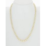 Collier 1 rang de perles de culture blanches fermoir en or 750 long. 50 cm