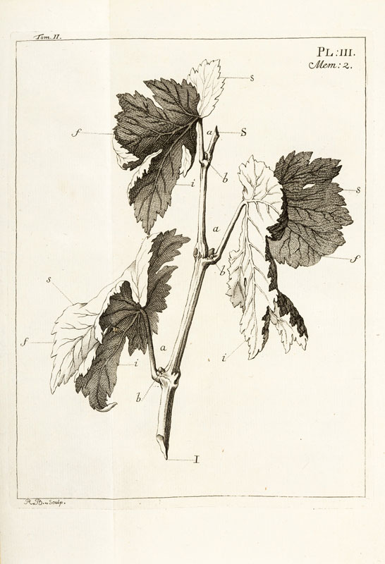 BONNET (Charles). Oeuvres d'histoire naturelle et de philosophie. Neuchâtel	 Fauche	 1779-1783.&nbsp - Image 4 of 6