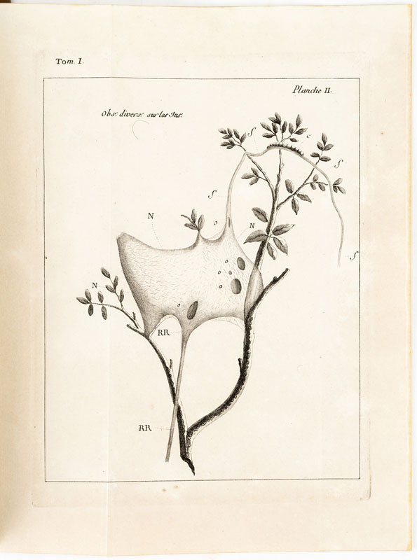 BONNET (Charles). Oeuvres d'histoire naturelle et de philosophie. Neuchâtel	 Fauche	 1779-1783.&nbsp - Image 6 of 6