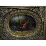 An oil in an oval - Pheasant, in ornate gilt frame