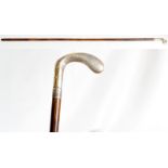 An Edwardian walking cane with silver handle in the form of a golf club inscribed E Tamblyn - London