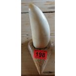 Antique Whale's Tooth on Wooden Stand.
Actual tooth 5 1/2" tall.