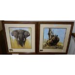 A pair of David Shepherd O.B.E. prints,