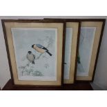 A set of eight Noel Hopkin bird prints