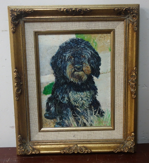 A portrait of a Cyprus poodle, oil on panel, framed