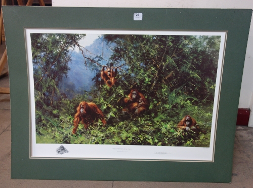 A David Shepherd signed limited edition print, Men of the Woods, Orang-utans, unframed